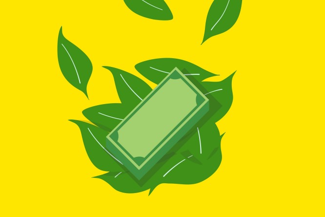 Deschide depozit Fresh Money